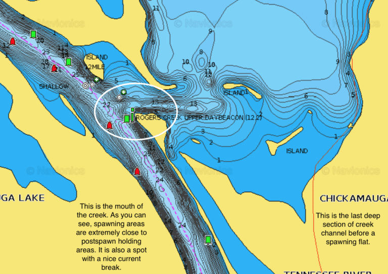River Systems And The Spawn by Caleb by Caleb Luzader