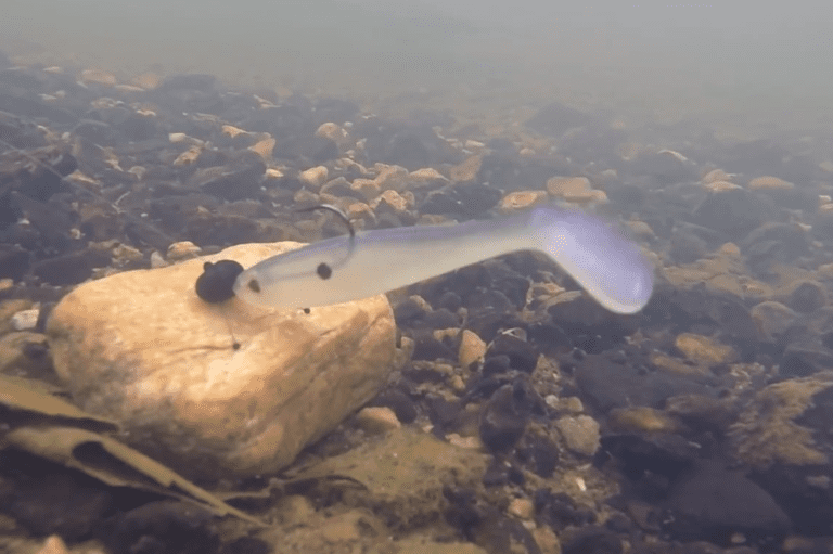 “A true game changer lure?” The Perfection Lures “Sure Hook up” series shaky head By Ben Hudson