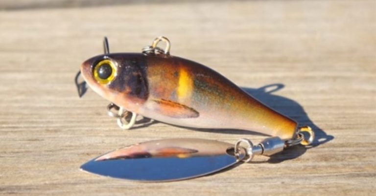 The Tailspinner – A Grandpappy Approved Winter Bass Snatcher – MTB