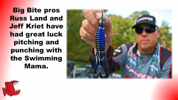 Big Bite Baits 2016 News Letter #5 March 10,2016