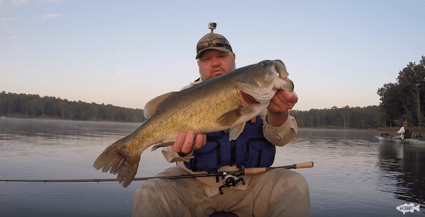 Toad Trips #7 – GIANT WHOPPER PLOPPER BASS with Flukemaster