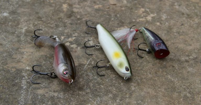 5 Topwater Lures That Will Catch You More Fish – MTB