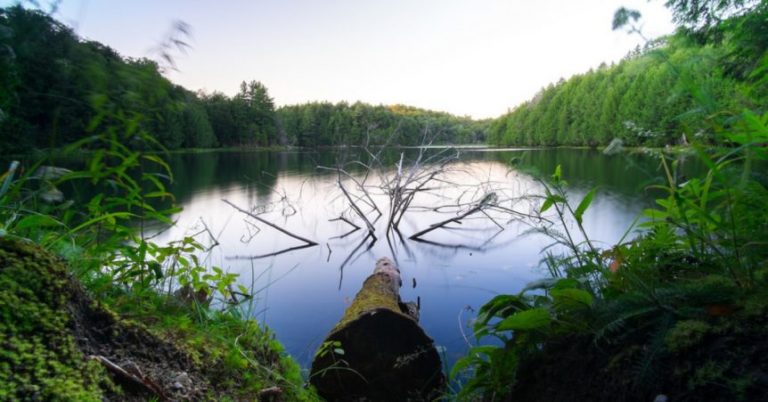 Keys To Unsnagging Your Lures – MTB