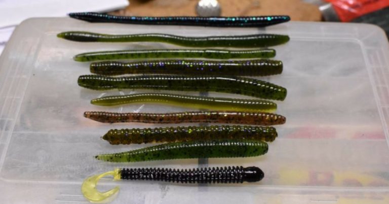 Soft Plastic Worm Tails: Breaking Down The Most Common Types