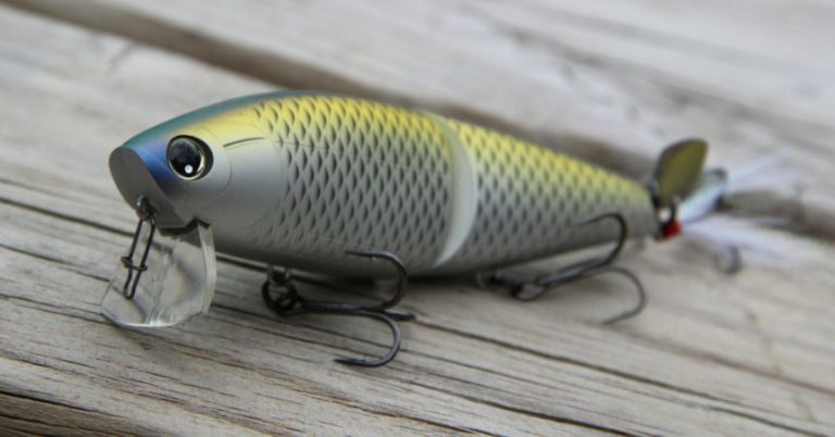 JDM Tackle Explained: What Is JDM And What Makes It So Great?