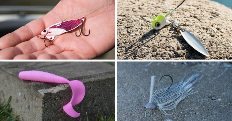 7 Winter Fishing Baits You'll Need In Your Tackle Box MTB December