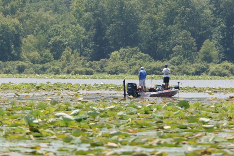 Bassmaster Elite Series Returns To Northern Alabama’s Wheeler Lake