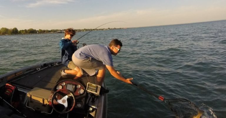 To Hook Set, Or Not To Hook Set, That Is The Question