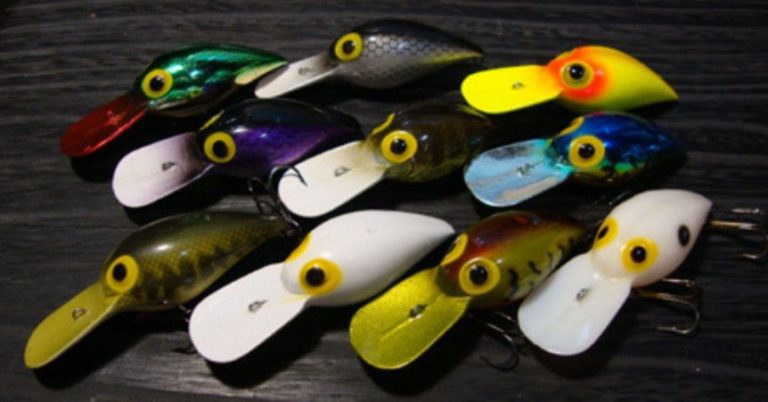 The Storm Wiggle Wart: Breaking Down An Iconic Bass Bait