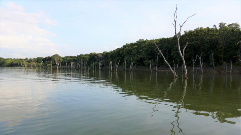 Mystery Surrounds Bassmaster Classic On Lake Ray Roberts