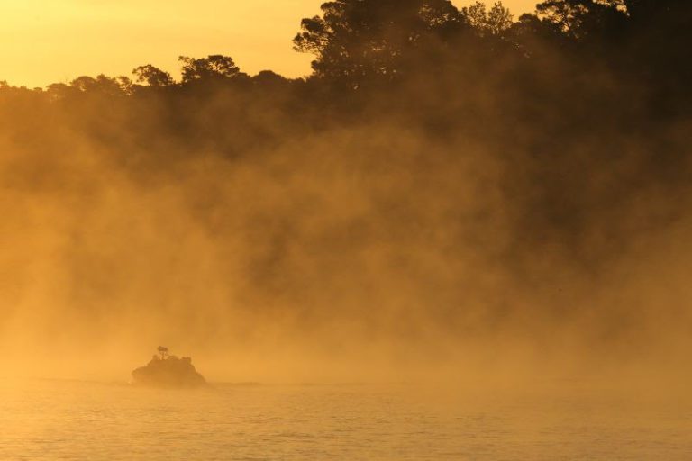 Giant Bass Will Greet Anglers At Bassmaster Central Open On Toledo Bend Reservoir