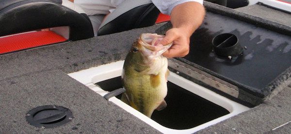 How’s the Weather in Your Livewell?  by Jim Root