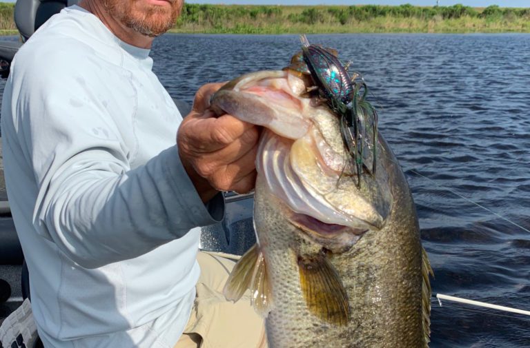 Find Hungry Bass During The Dog Days of Summer – Fresh Baitz