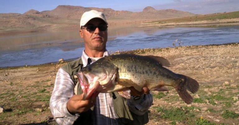 3 Tips To Catch A Trophy Bass This Fall – MTB – November 16th 2017
