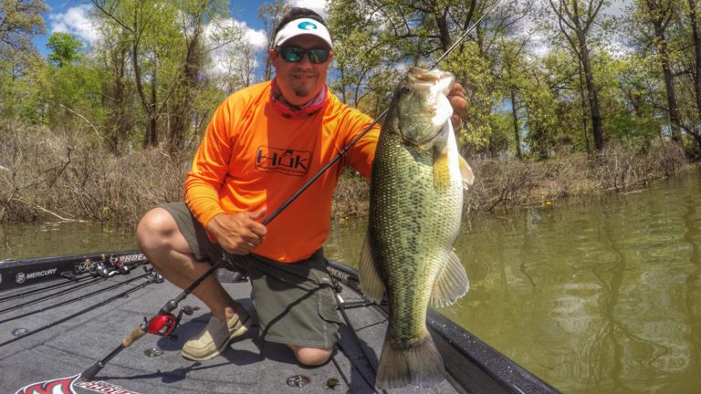 8 Tips to Catch Skittish Bass in Clear Water by By Jason Sealock