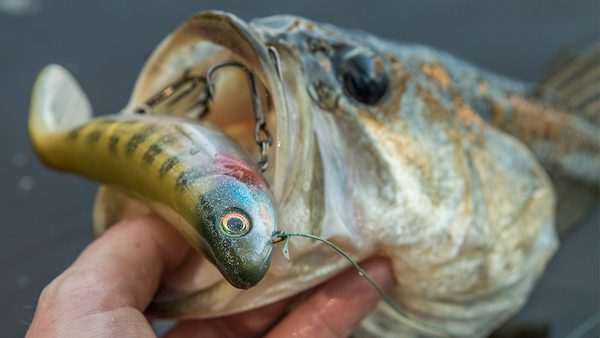 First Look: Bill Lewis StutterStep Topwater Lure By Walker Smith – October 12,2016