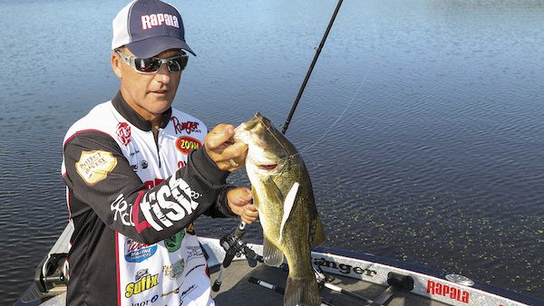 Rigging Soft Jerkbaits for Better Hookups by David A. Brown –  November 11,2016