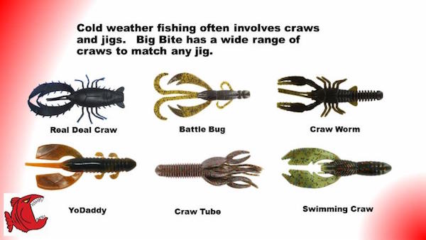 Big Bite Baits January News Letter 2016