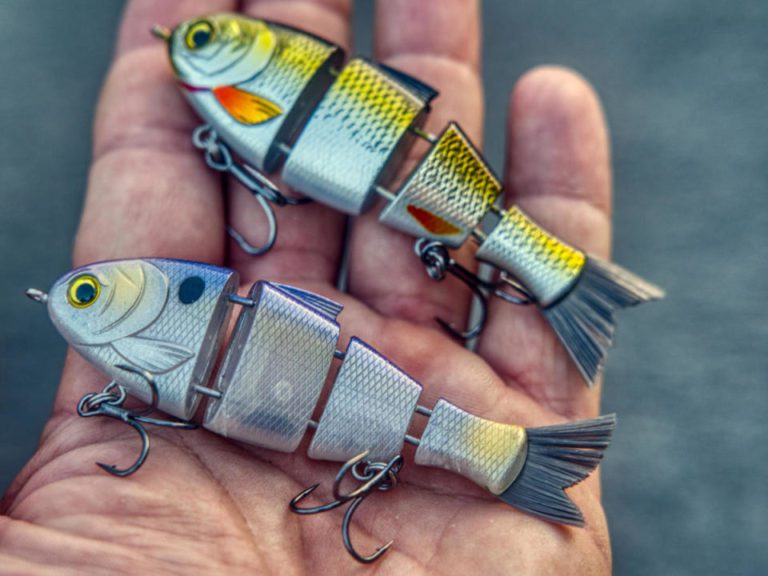 Catch Co. Bucca Baby Bull Shad Review By Jason Sealock