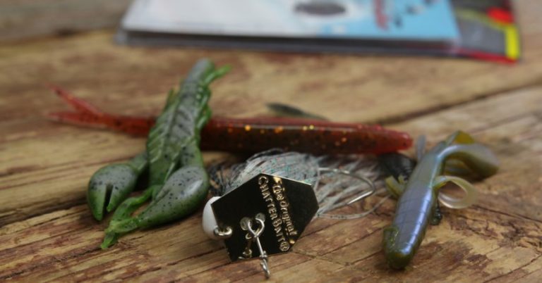 Chatterbait Fishing Tips: How To Fish A Chatterbait 3 Different Ways
