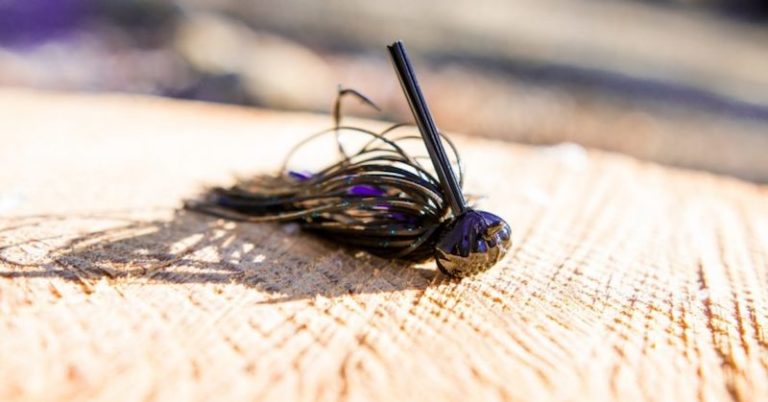 The Clear Water Tactic You Might Not Have Tried… – LTB –