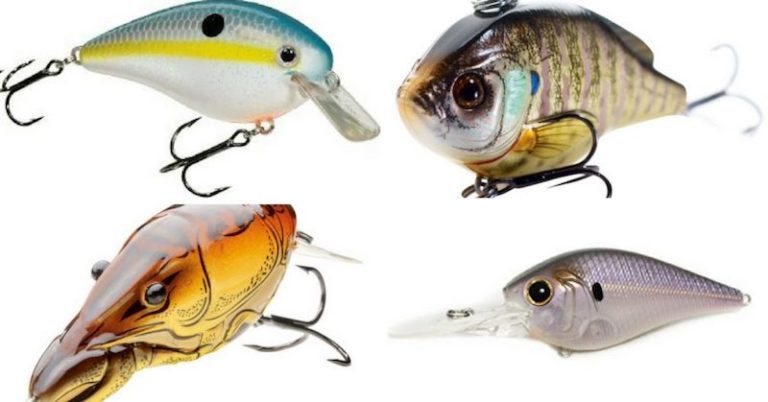 Your Definitive Guide To Choosing Crankbait Colors – LTB – July 8,2017