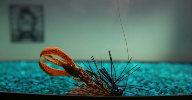 3 Ways To Rig And Fish A Soft Plastic Craw – MTB