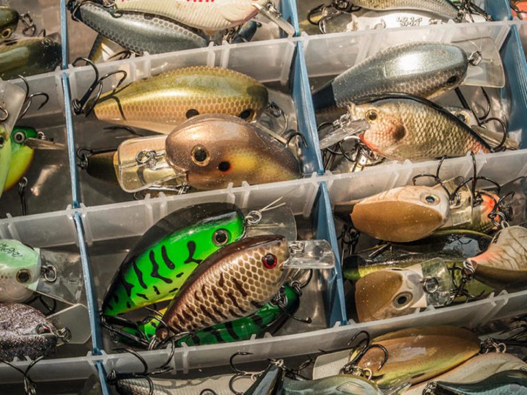 8 Cult-Classic Squarebills You Need to Own By Walker Smith