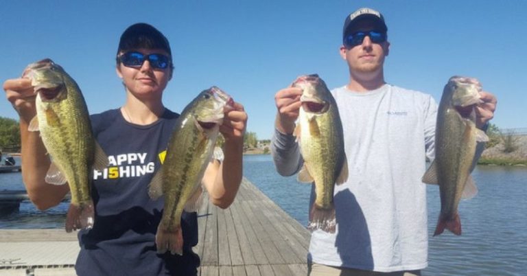 3 Killer Vertical Presentations For Deep Water Bass MTB – November 15,2017