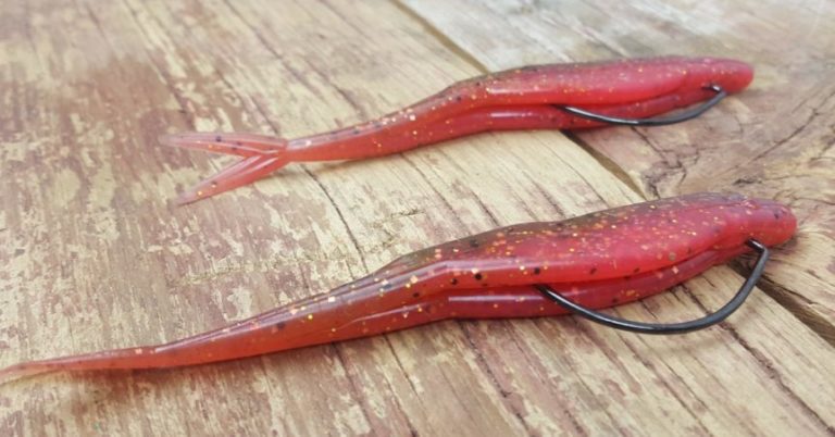 How To Fish The Donkey Rig: The Most Fun Setup In Bass Fishing –  MTB – November 18th 2017