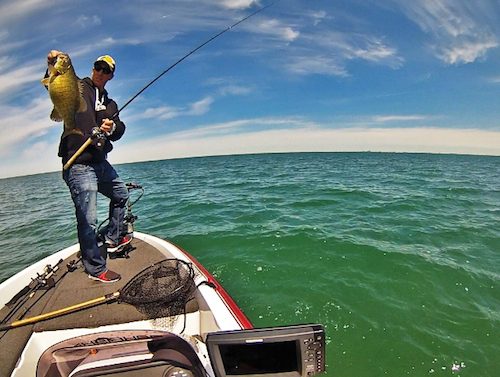 Early Season Smallmouth  by Fishidy.com