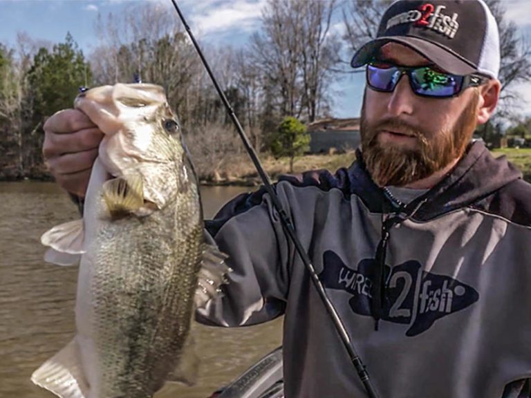3 Great Bass Fishing Lures for Chasing Schooling Bass in the Fall By Walker Smith