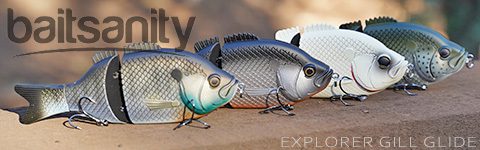 Glide Ready? Baitsanity’s Explorer Gill Might Just Be Their Best Lure Yet