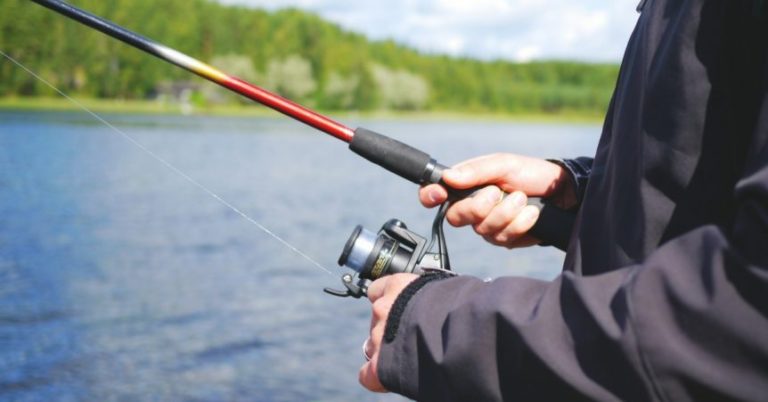 Finesse Fishing 101: Mastering Finesse Bass Fishing Techniques MTB