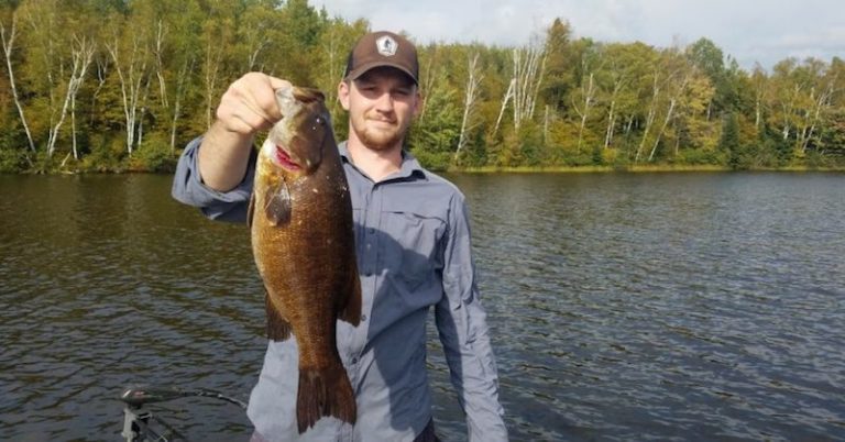15 Basic Bass Fishing Tips for Fishing the Fall Transition – MTB