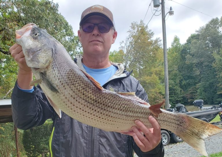 November 2021 Smith Mountain Lake Fishing Report by Captain Dale Wilson