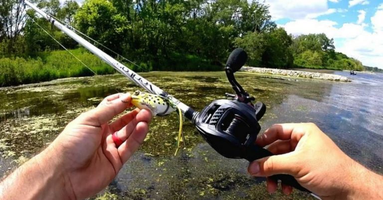 All There Is To Know About Frog Fishing For Bass – MTB –  September 8,2017
