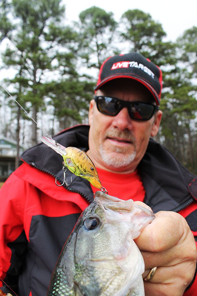 Late-Season Bass: Search and Destroy