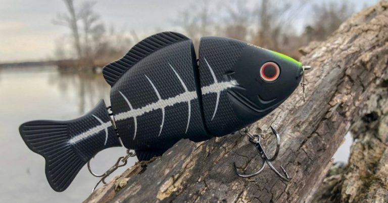 How To Win Your Next Tournament With A Glide Bait – MTB