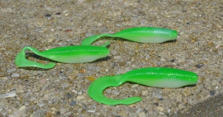 Grub Fishing 101: How To Catch Fish On Grubs MTB