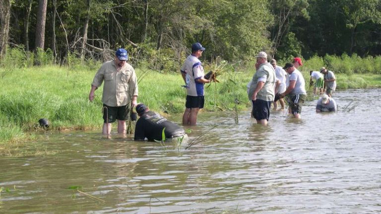 Bassmaster Classic Anglers Will Be Hunting For 13-pound ShareLunker Bass In Lake Conroe