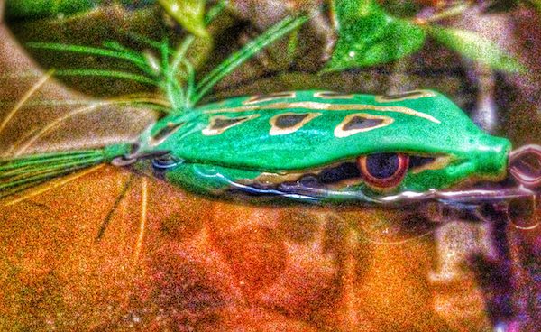 Spro Brozneye Series Frogs Review – By Bobby Saffel