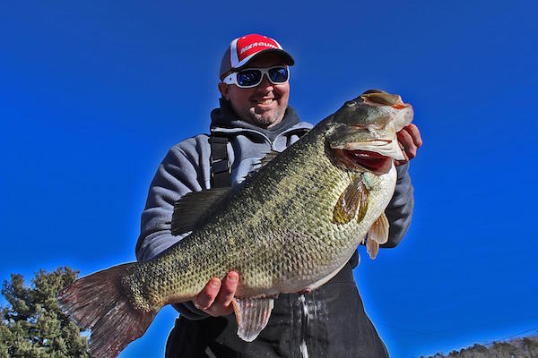 Chickamauga Yields What May Be New Tennessee Record Largemouth – FLW Media