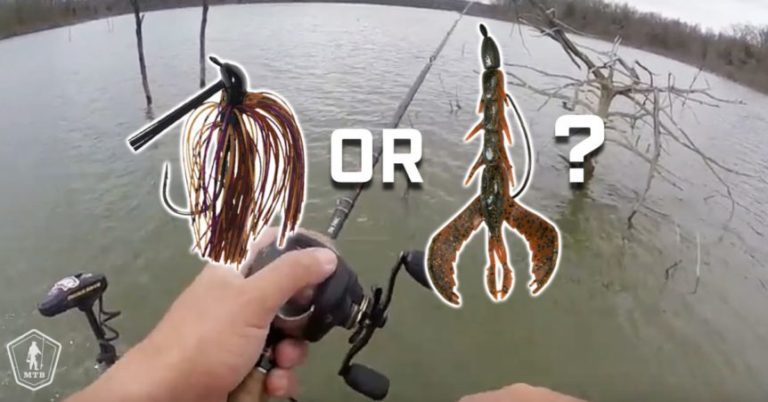 Jig Vs Texas Rig: When Should You Throw Each? MTB