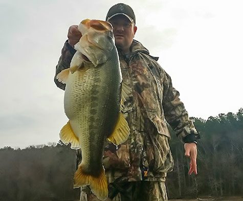 Tennessee Angler Boats Another Huge Bass from Pickwick – by: Jason Sealock
