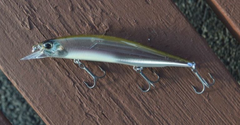 5 Late Winter Bass Fishing Confidence Baits