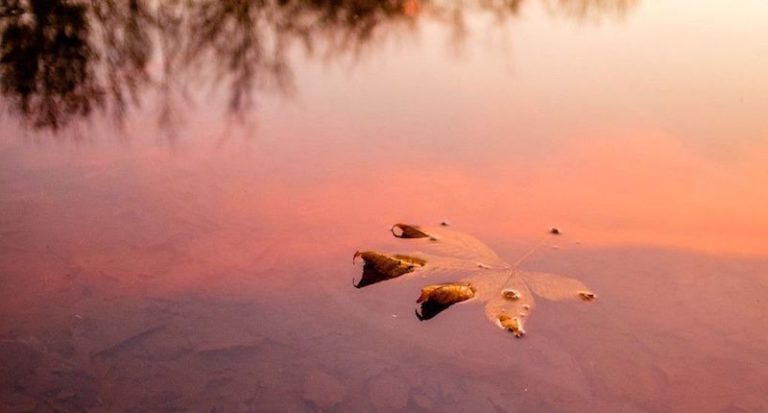 Maurice Bankruptcy by the Numbers – November 22,2017 – Fishing Tackle Retailer