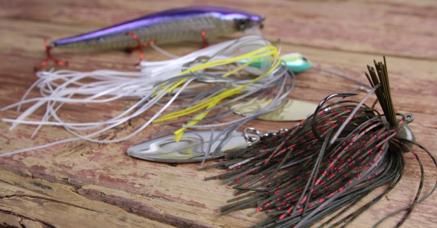 Point Fishing 101: The Best Baits To Fish A Point by MTB