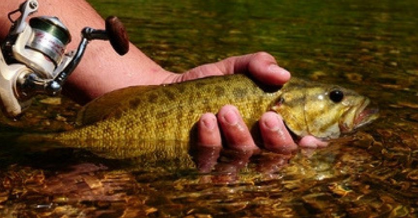 Pre Spawn Smallmouth Bass Fishing In Rivers: 3 Places To Look – MTB