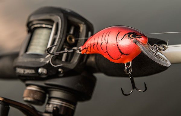 Rapala Ike’s Custom Ink DT 4 by: Walker Smith